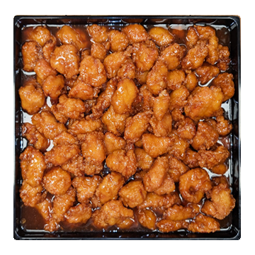 GENERAL TZO'S (9x13)